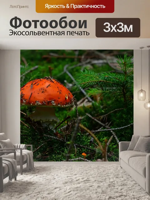 Фотообои Лес