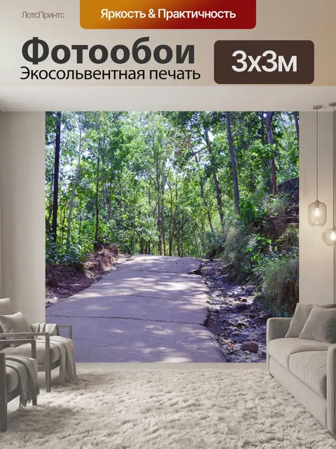 Фотообои Деревья и лес 15