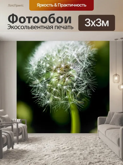 Фотообои Одуванчик