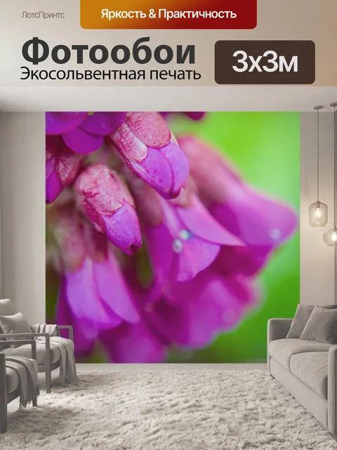 Фотообои Ницца цветов