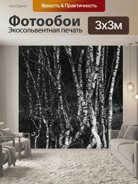 Фотообои Березы