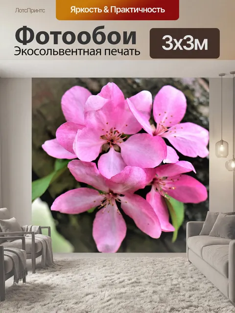 Фотообои Apple