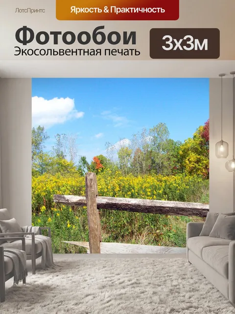 Фотообои Путь в поле