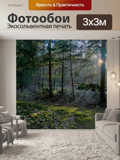 Фотообои Лес
