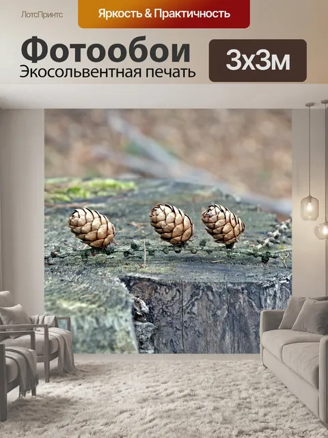 Фотообои Шишки