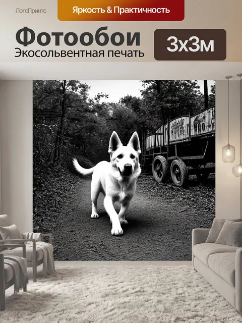 Фотообои в заброшенном парке аттракционов