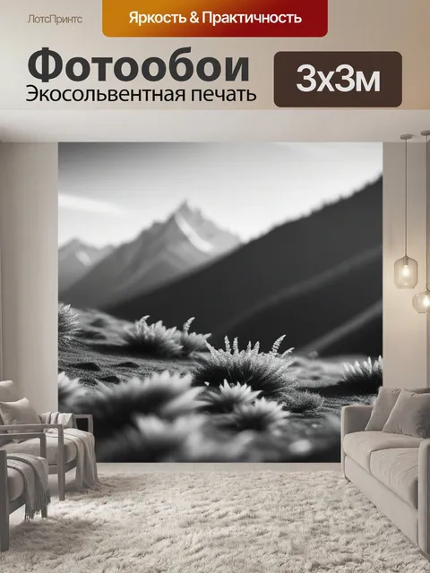 Фотообои фото пейзаж с горой чернобелый