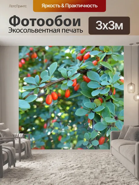 Фотообои Сад
