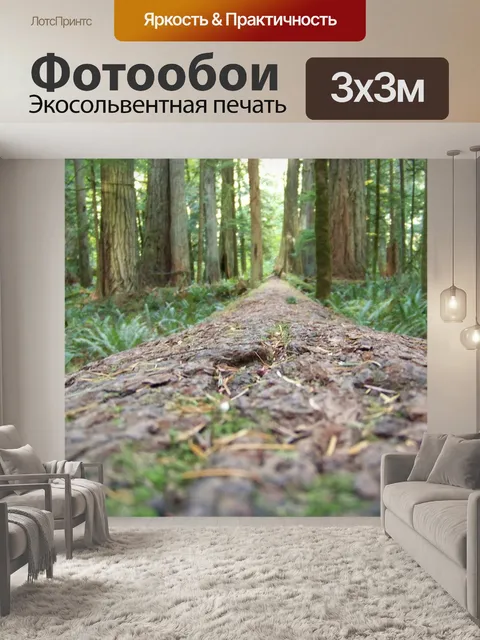 Фотообои Секвойи