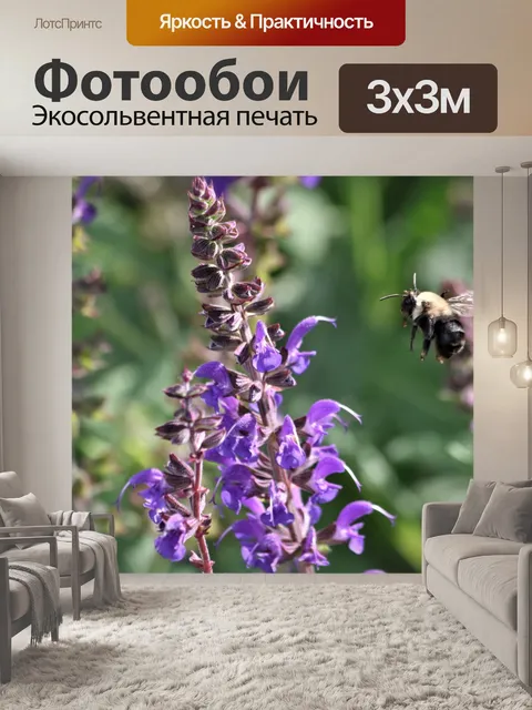 Фотообои Пчела в полете в Фиолетовый шалфей