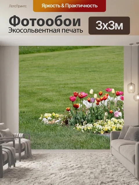 Фотообои Тюльпаны