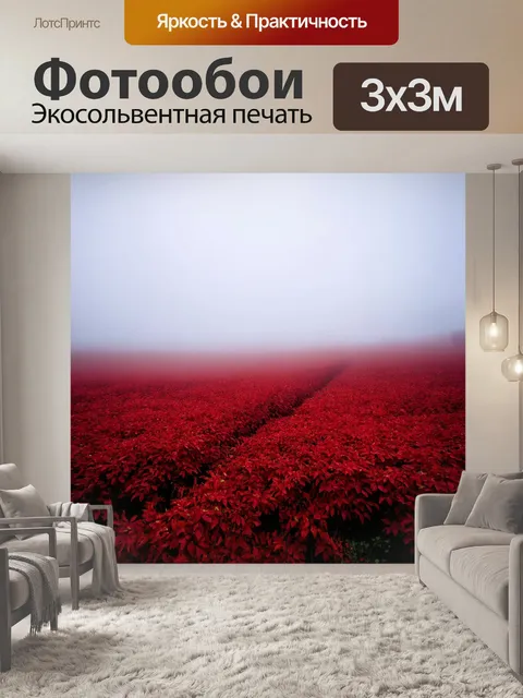 Фотообои туман в стиле узоров, миражи, пробивающиеся сквозь утренний туман с багряными узорами