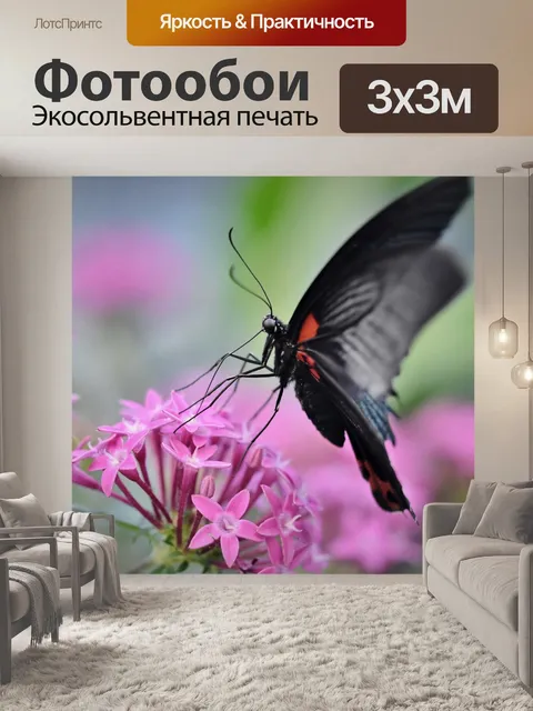 Фотообои Бабочка