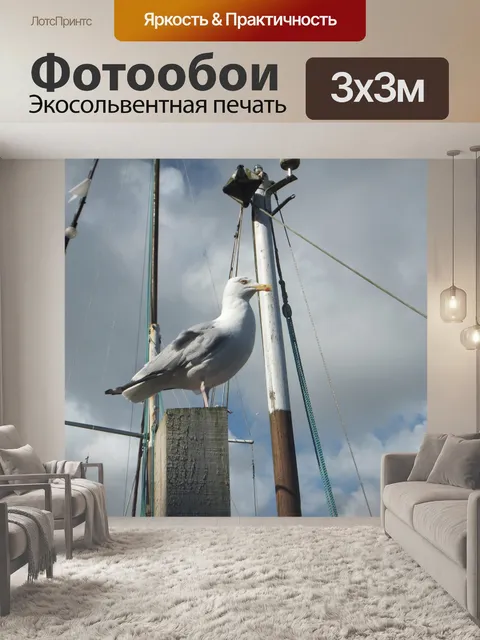 Фотообои Чайка