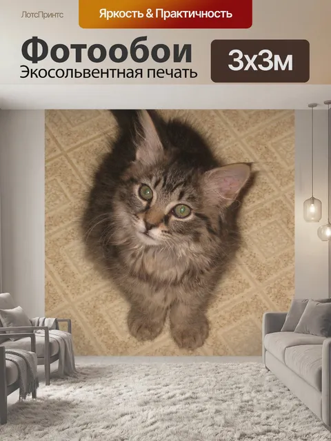 Фотообои Cute Kitty