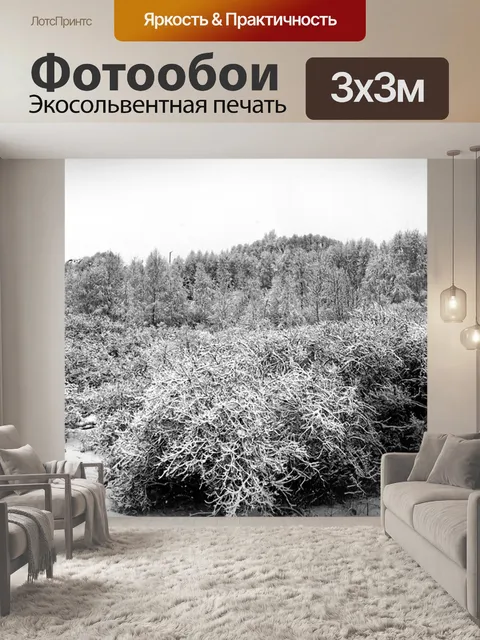 Фотообои Черно-белый