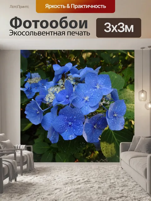 Фотообои Голубые цветы крупным планом