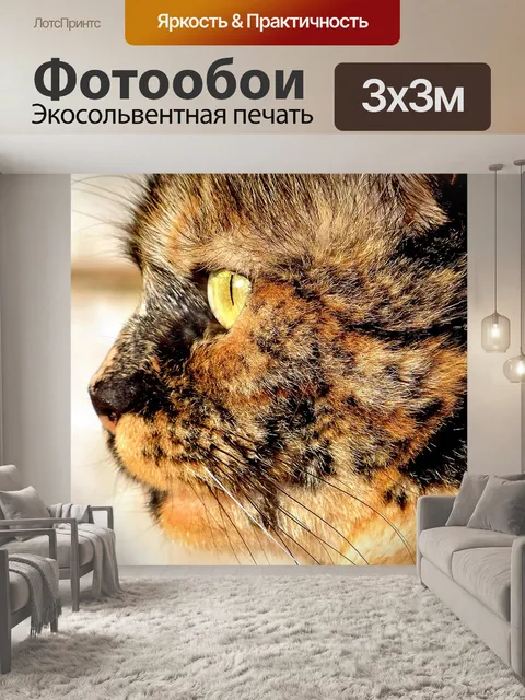 Фотообои Кошка