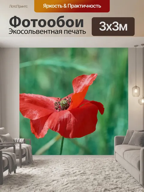Фотообои Мак