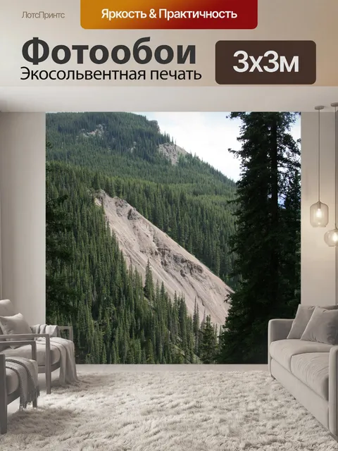 Фотообои Горный Слайд деревья Лавина