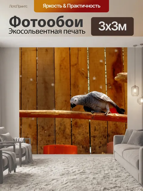 Фотообои Птица