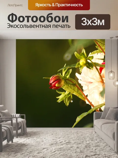 Фотообои Цветы сад