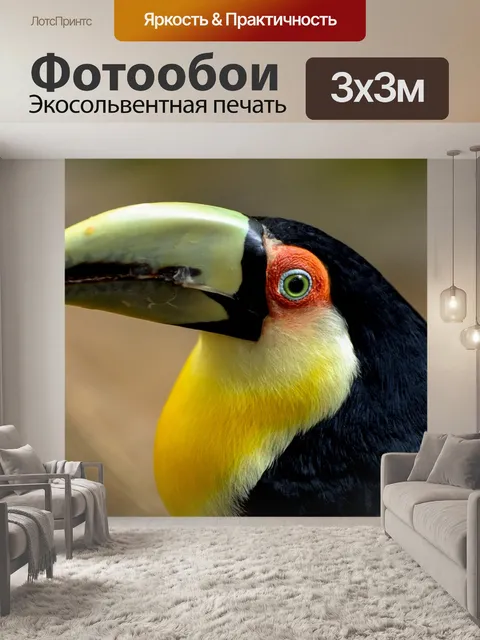 Фотообои Тукан