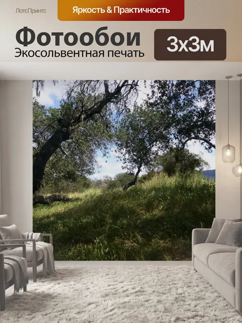 Фотообои Деревья и трава