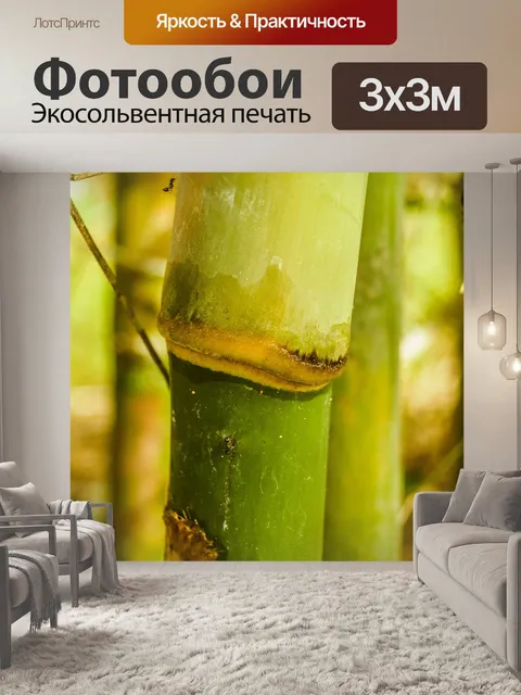 Фотообои Бамбуковый лес природа фон