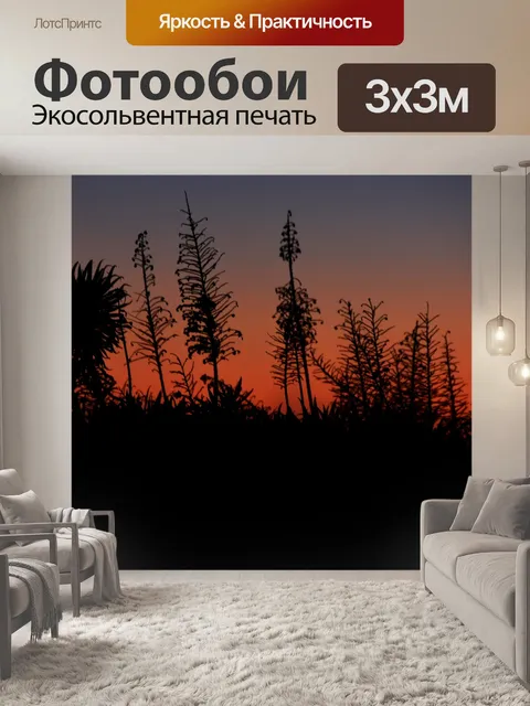 Фотообои закат силуэты растений