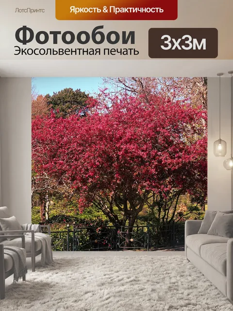 Фотообои Red Spring Park Tree
