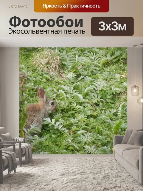 Фотообои Кролик