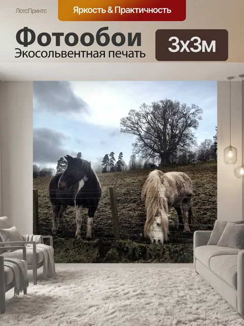 Фотообои Лошади