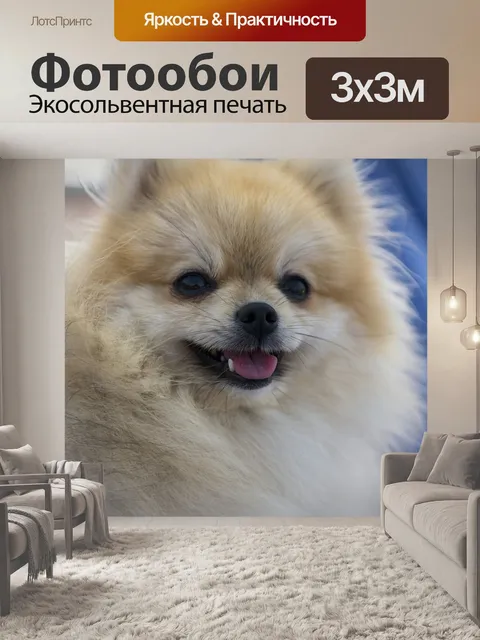 Фотообои Ирис
