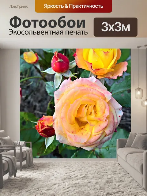 Фотообои Розы
