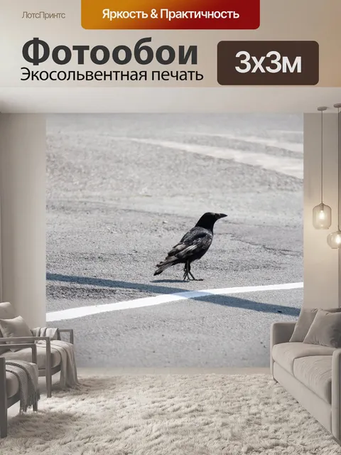 Фотообои Ворона на дороге