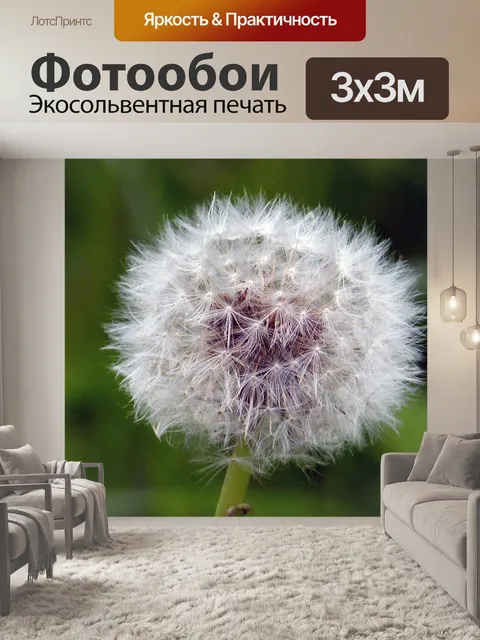 Фотообои Одуванчик