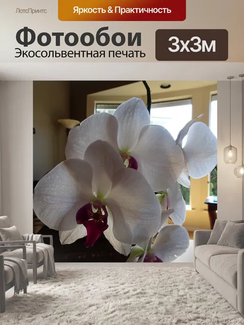 Фотообои белый цветок