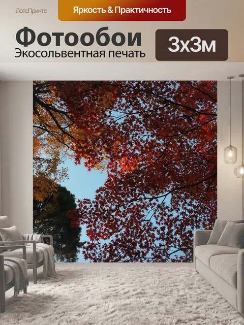 Фотообои Осенние листья