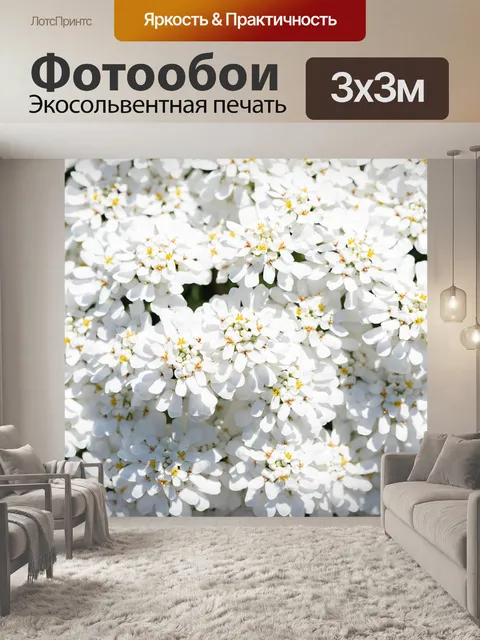 Фотообои Подушка цветок