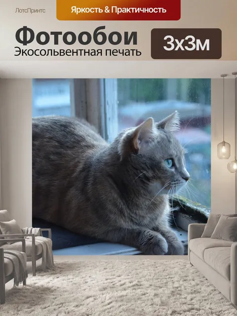 Фотообои Кошка