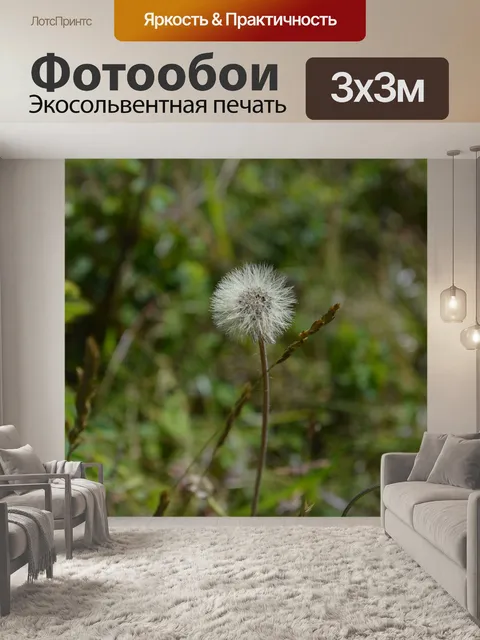 Фотообои Одуванчик