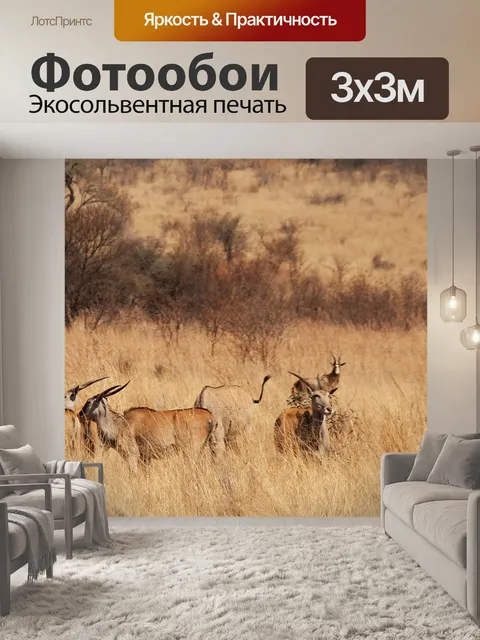 Фотообои вид на группу антилоп канны