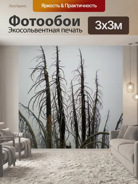 Фотообои Деревья