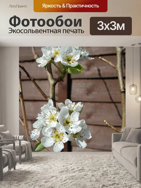 Фотообои Цветы