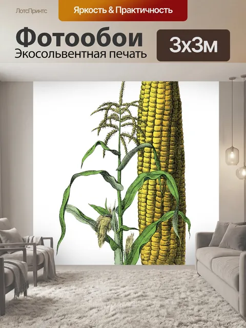 Фотообои Кукуруза Винтаж Овощное Искусство