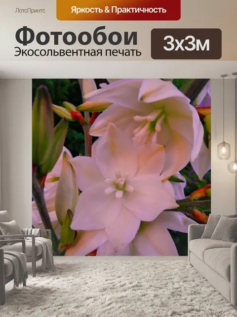 Фотообои Нежность