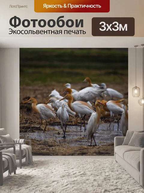 Фотообои Птицы