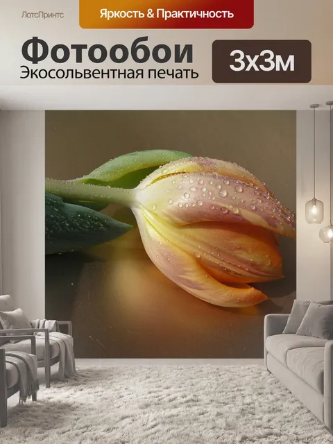 Фотообои Тюльпаны