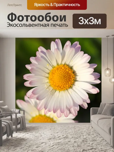 Фотообои Цветы